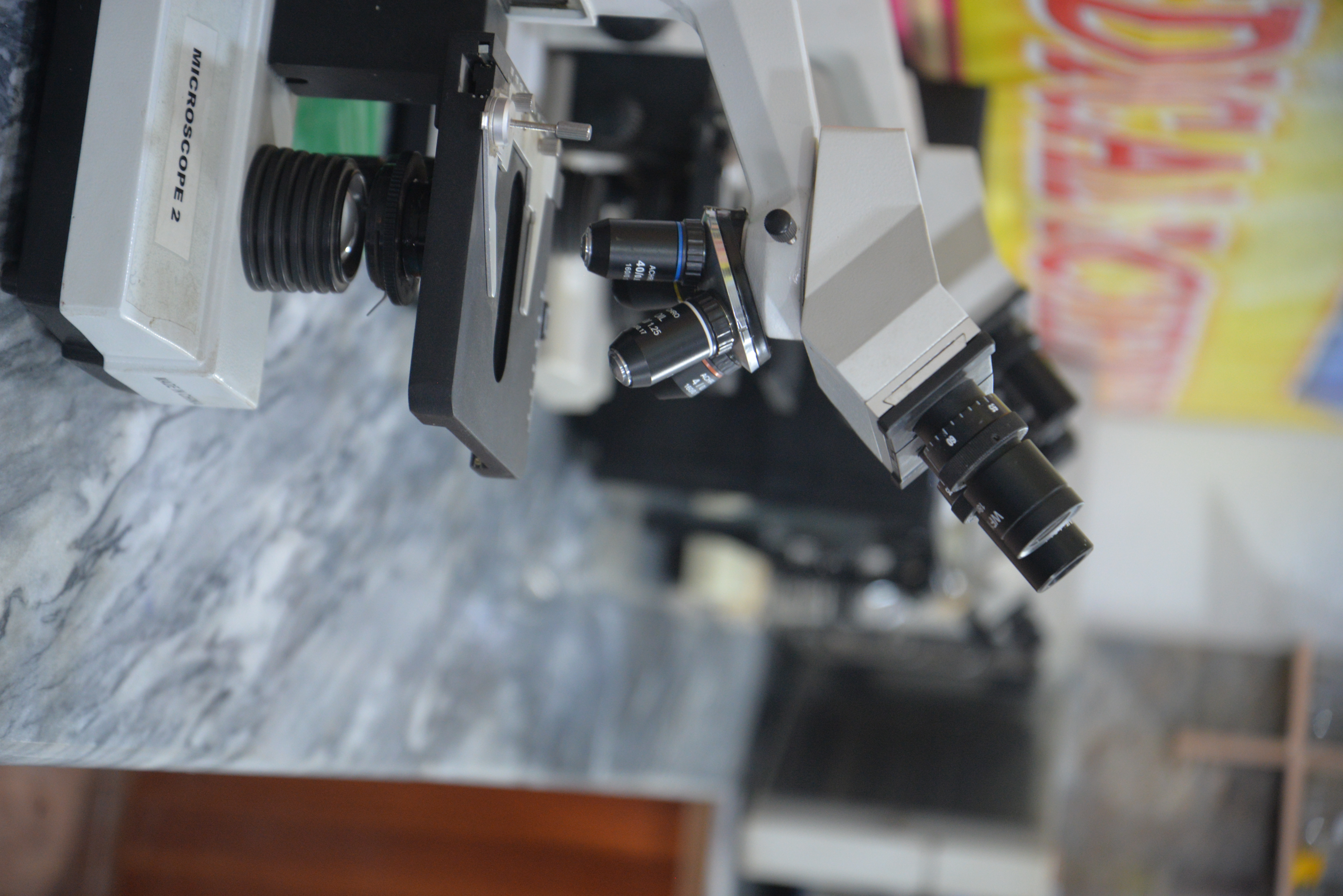 MLT Lab 1